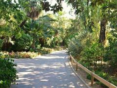 183 D35 PARC OLBIUS RIQUIER A HYERES_000030